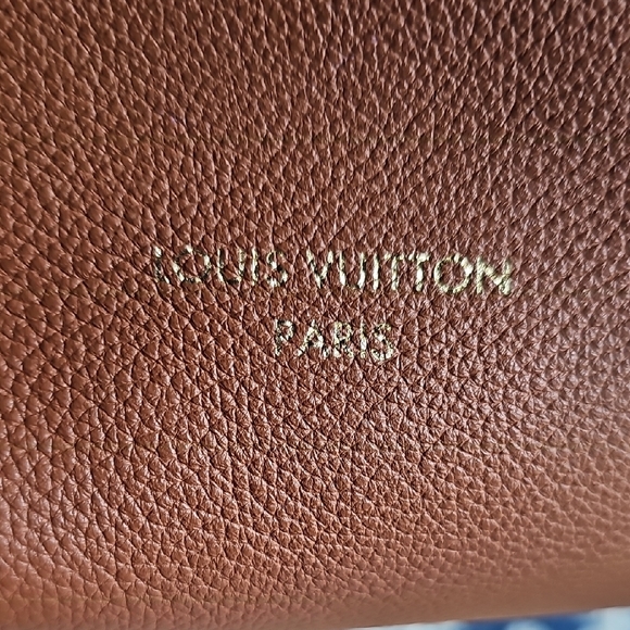 Louis Vuitton Lowkey Hobo Pm - Picture 4 of 17